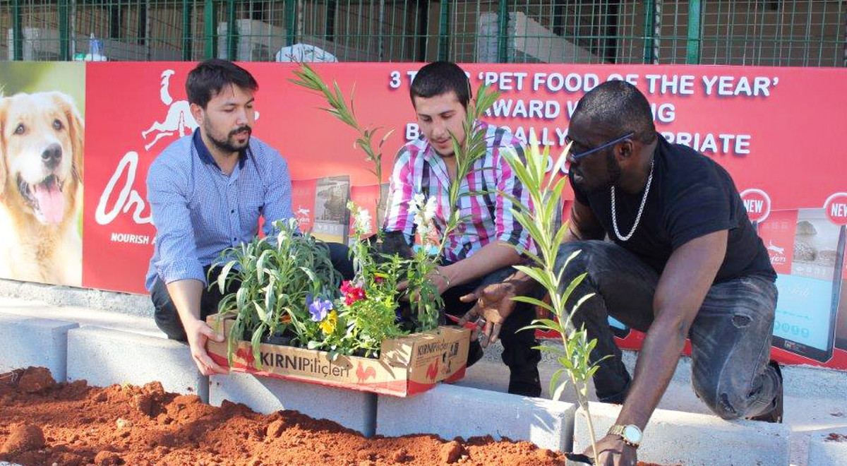 DAÜ Toplumsal Duyarlılık Merkezi Hayvanları Da Unutmadı