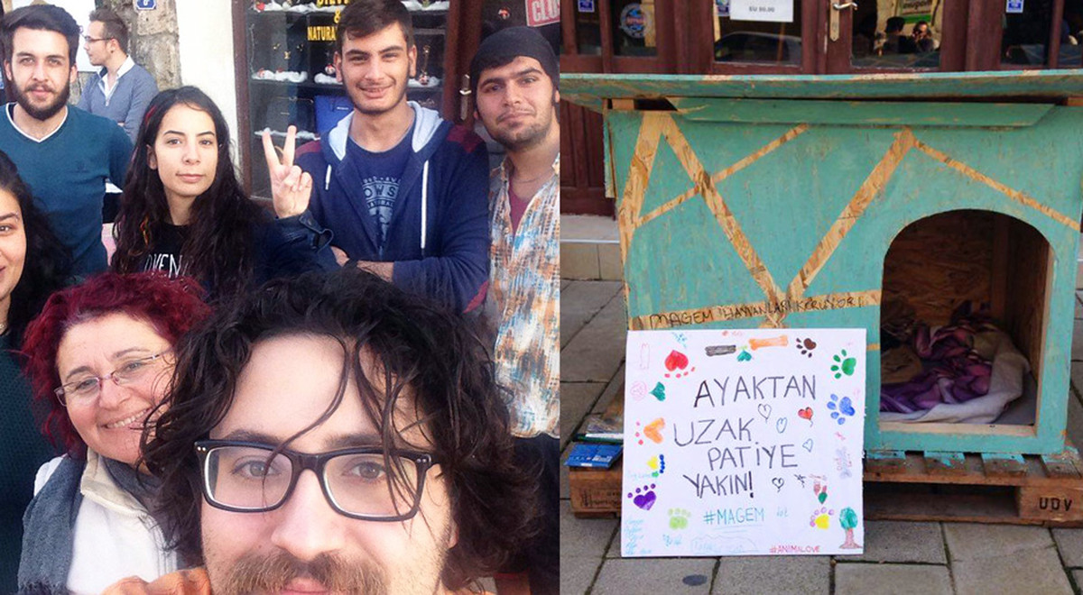 DAÜ’lü Hayvansever Öğrencilerden Anlamlı Bir İşbirliği