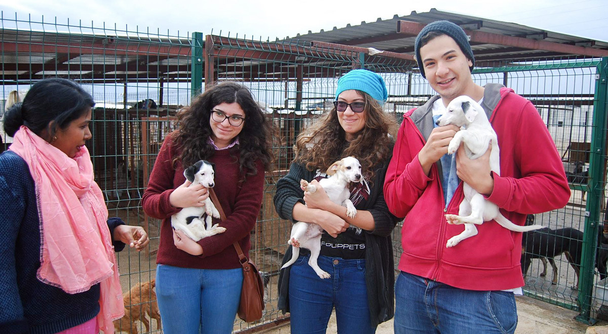 DAÜ Turizm Fakültesi Öğrencileri Barınaklardaki Köpekler İçin El Ele Verdi!