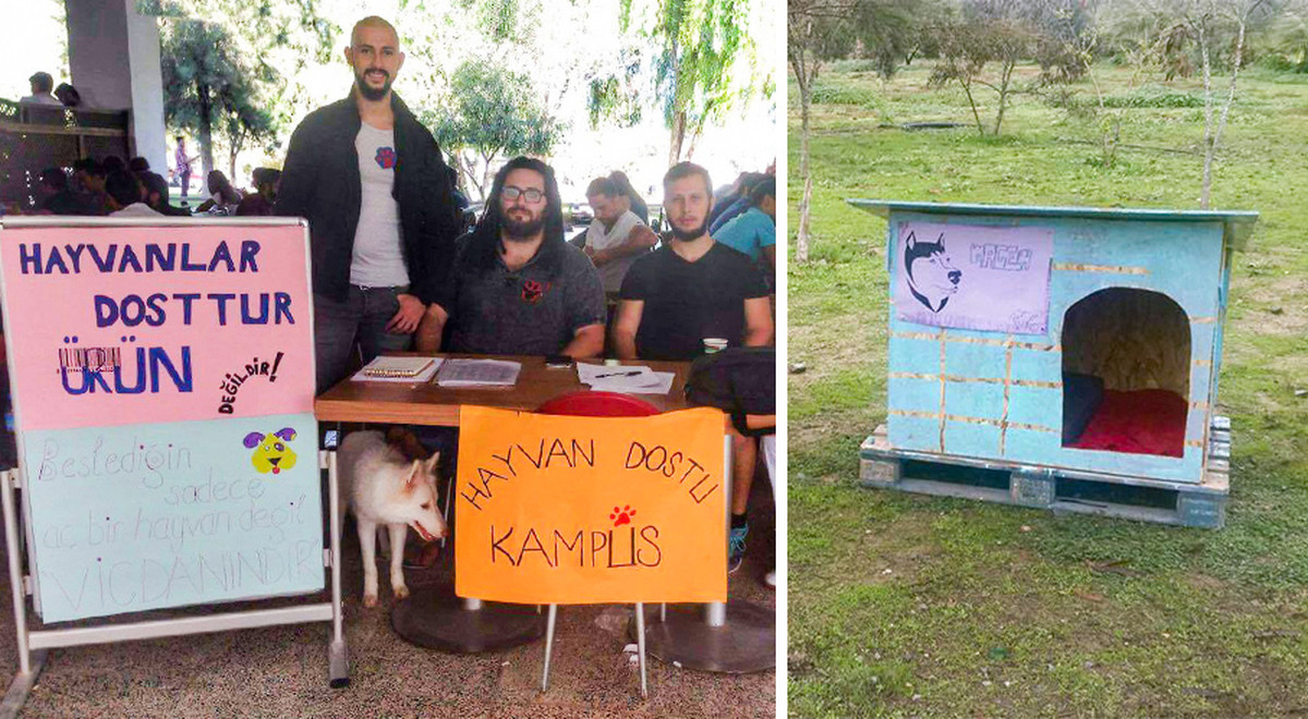 DAÜ Hayvan Dostu Kampüs Projesi Büyüyor