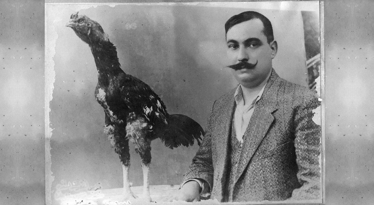 DAÜ-KAM ve EMAA’dan Dünya Sanat Günü Dolayısıyla Kitap Tanıtımı ve Sergi Etkinliği