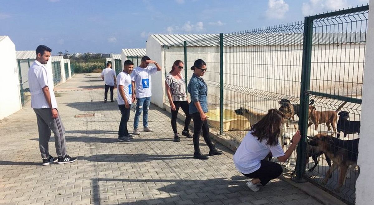 EMU Faculty of Communication Students Pay Separate Visits to Famagusta Municipality Dog Shelter and Rehabilitation Centre