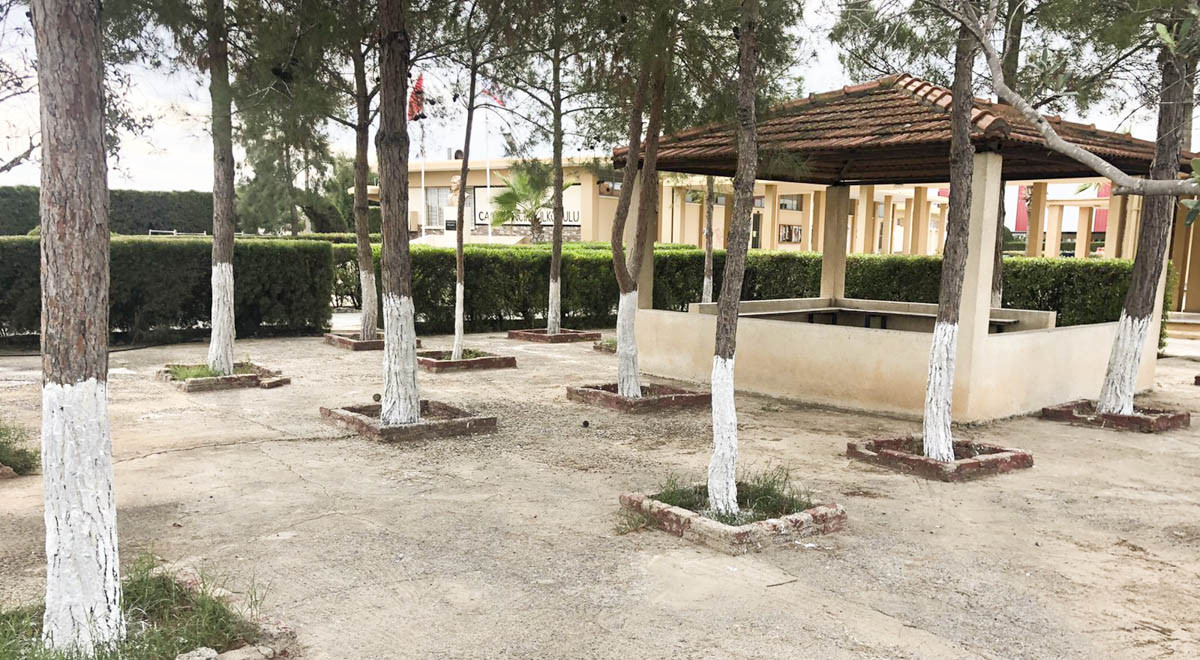 EMU Gastronomy Students Begin Tree Calcification Project