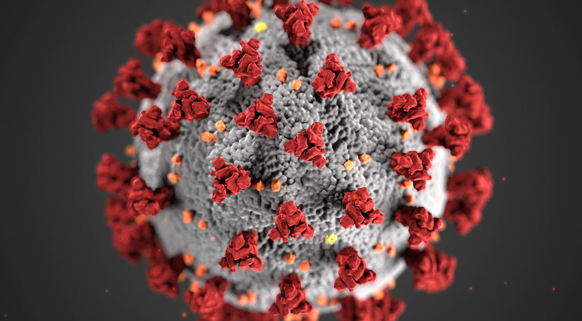 Sometimes Microbes Can Change the World! – Prof. Dr. Hasan Şimşek