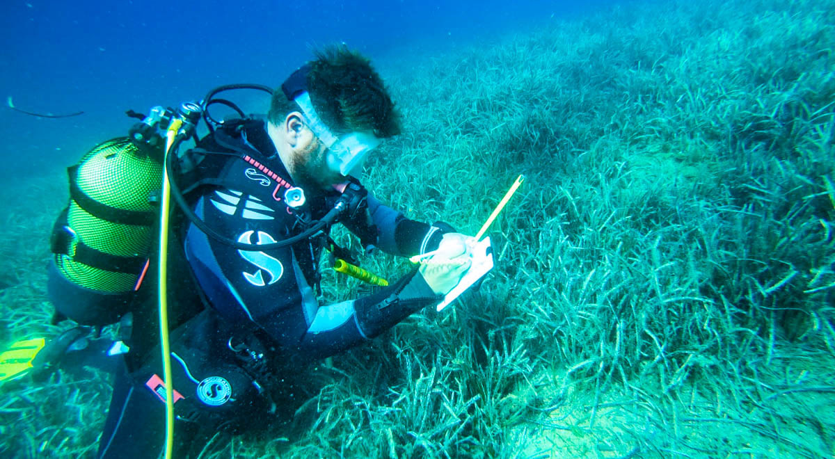 UN Supported Project for the Protection of Ayvalik’s Seagrass Continues Under Asst. Prof. Dr. Burak Ali Çiçek’s Consultancy