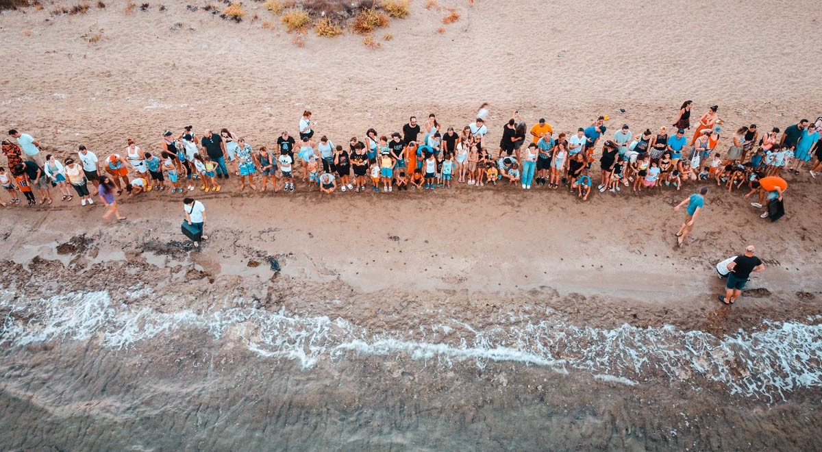 EMU URIC Releases Baby Caretta Carettas into the Sea