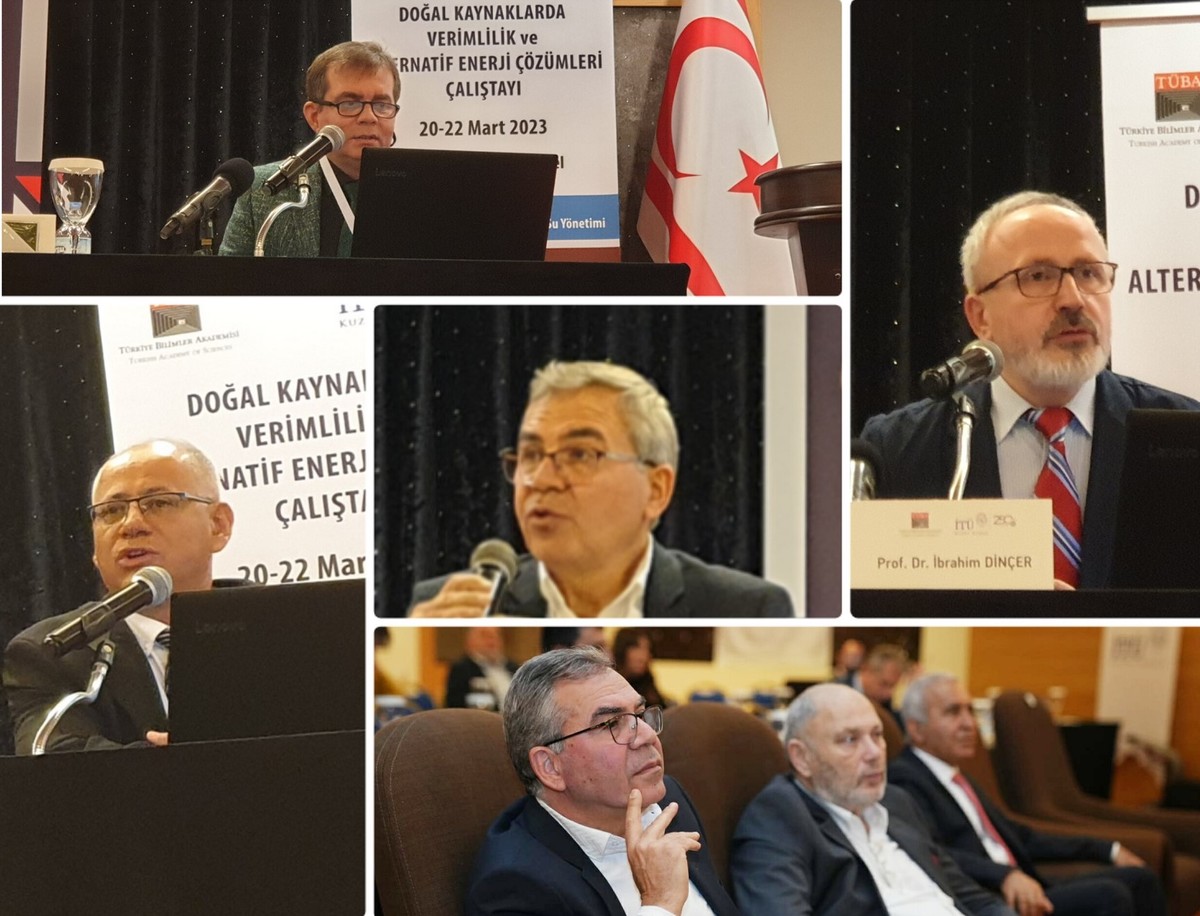 DAÜ Türkiye Bilimler Akademisi Çalıştayında Temsil Edildi