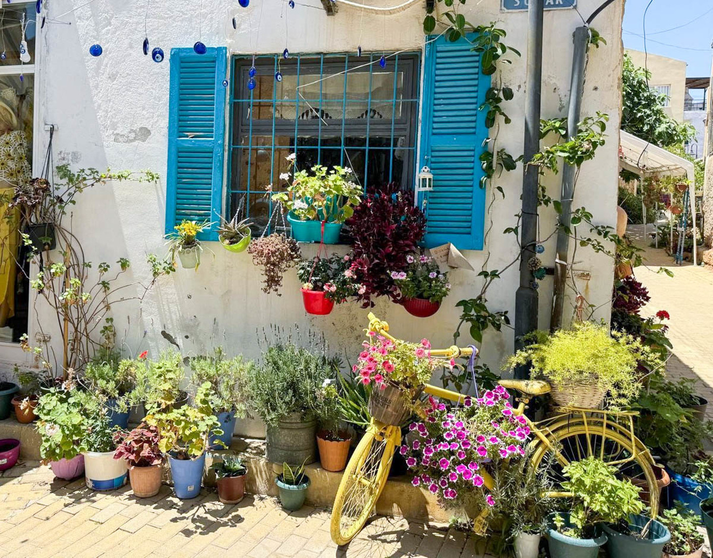 The Most Beautiful Balcony and Garden of Famagusta Selected in Collaboration with EMU and Municipality of Famagusta