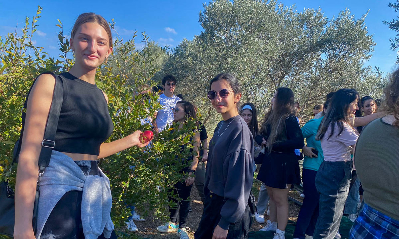 DAÜ Öğrencileri ile Zeytin Hasadı ve Zeytinyağı Yolculuğu